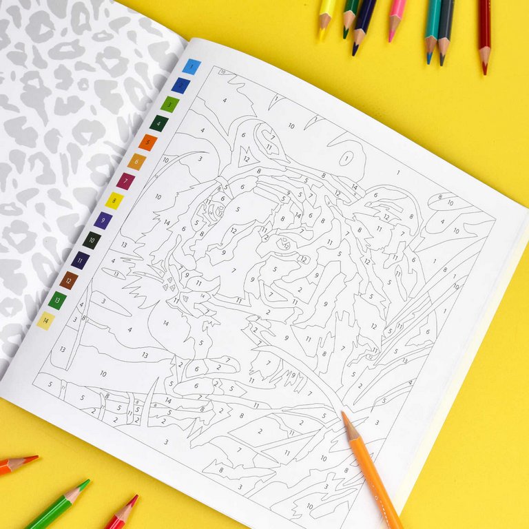 Раскраска по цифрам "Животные" 15 картин Феникс+ Раскраска по цифрам "Животные" 15 картин Феникс+