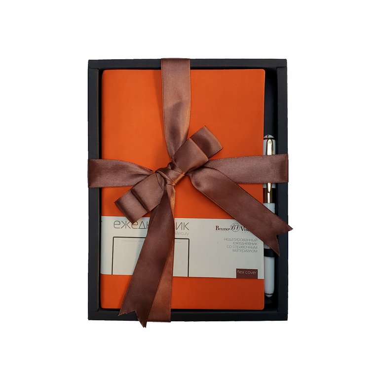 Набор подарочный BrunoVisconti "MERCURY" (ОРАНЖЕВЫЙ ЕЖЕДНЕВНИК А5 + РУЧКА)