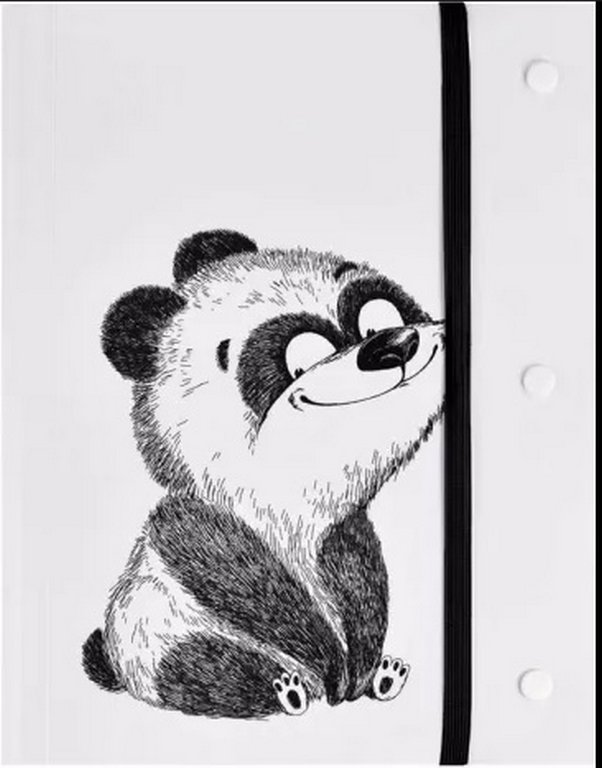 Папка А5 20 прозр.вклад. А4 пластик "КРЭЙЗИ ПАНДА" на резинке