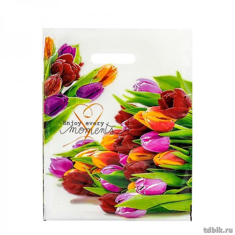 Пакет пробивной 31*40см (60 мкм) "Этюд" ПВД