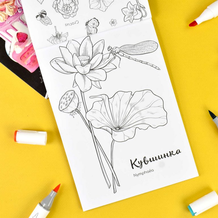 Раскраска для скетч-маркеров А5 "Ботаника" 16л. 230г/м2 Феникс+