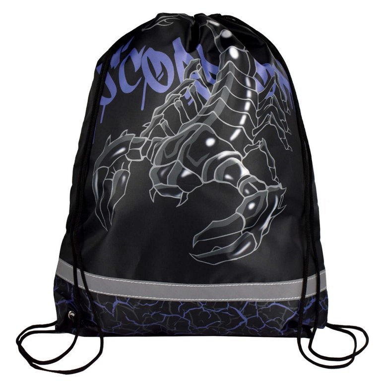 Сумка для обуви для мальчика 48*36 см Феникс+ "Скорпион"