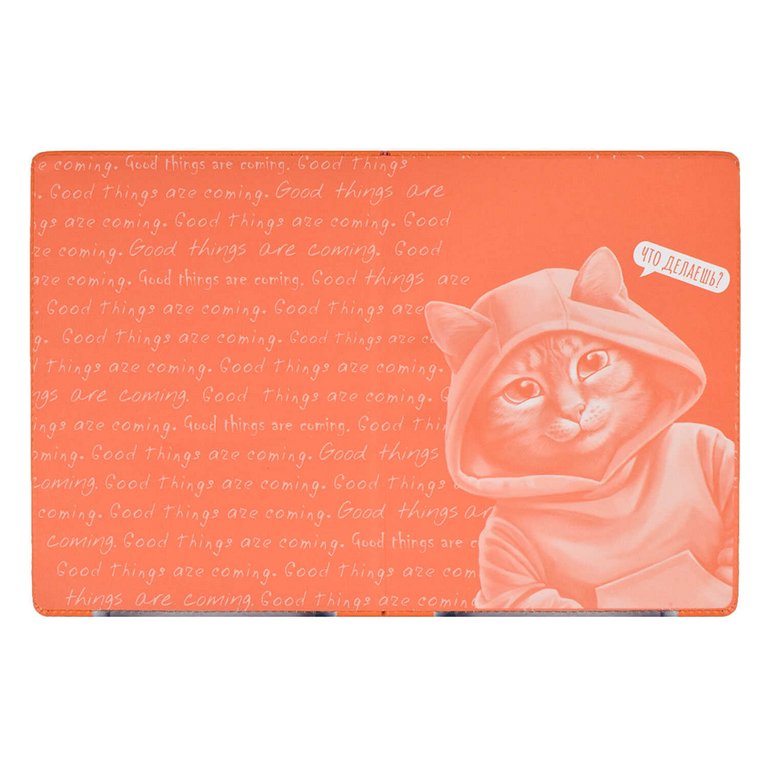 Дневник школьный твердая обложка с поролоном, кожзам, шнуровка декор. в люверсах, ляссе "КОТ" 48л.