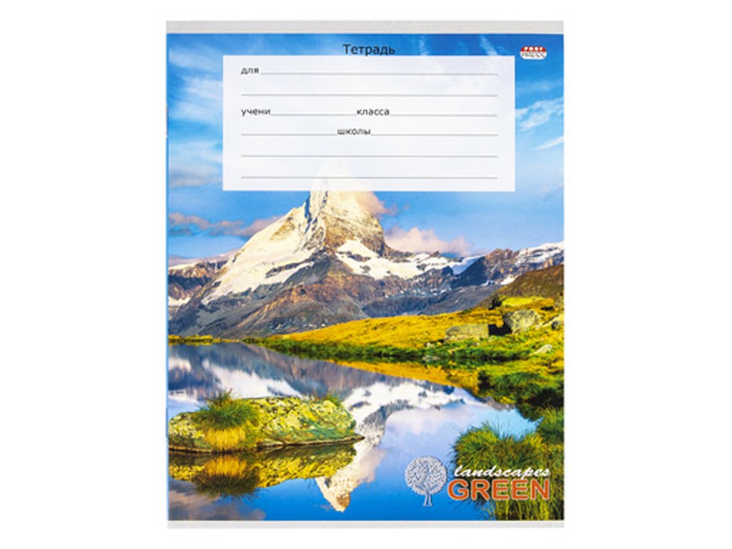 Тетрадь 12 лист кл. А5 "ВОСХИТИТЕЛЬНЫЙ ВИД-1" 5 ВИДОВ