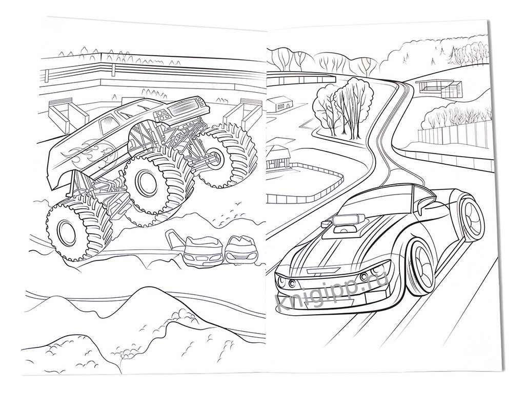 Раскраска А4 " Гонки" 6л ПРОФ-пресс