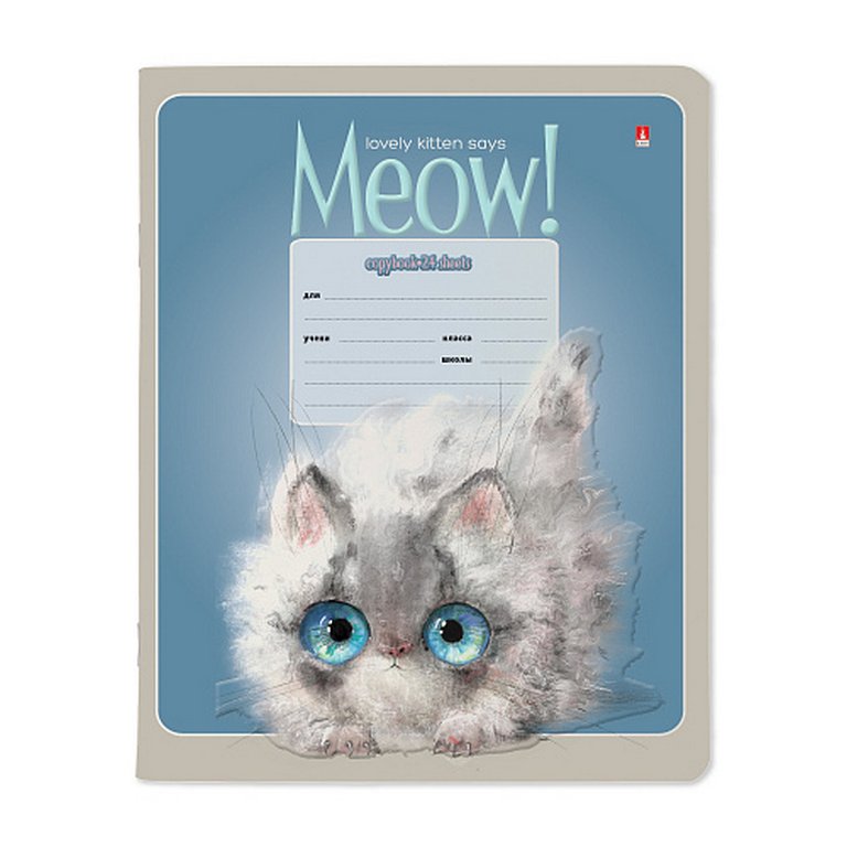 Тетрадь 24 лист кл. А5 "KITTY LIFE" 5 ВИДОВ