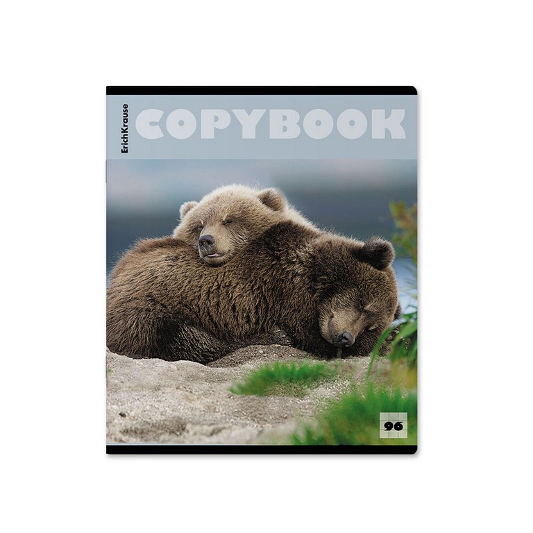 Тетрадь 96 лист кл. А5+ на скрепке "Медведи" 5 видов