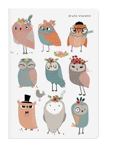 Тетрадь 40 лист кл. А5 на сшивке "CUTE OWLES"
