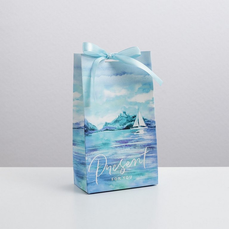Пакет бумажный 13*23см ламинированный "Present for you" с лентой