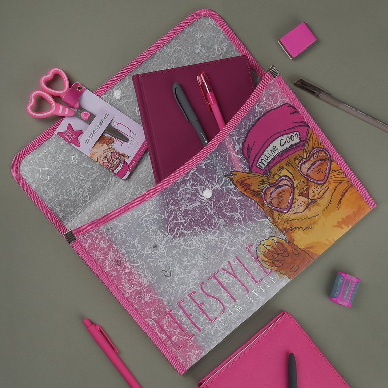 Папка для тетрадей А4 на кнопке BrunoVisconti "Easy life. Mainecoon" с текстильной окантовкой