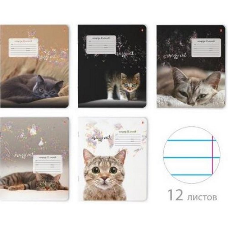Тетрадь 12 лист лин. А5 "УДИВИТЕЛЬНЫЕ КОТЯТА"  5 ВИДОВ