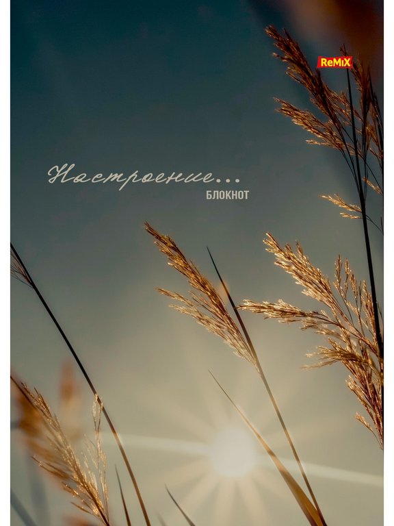 Блокнот А5  40л., 144*205 мм, на гребне Prof-Press "Настроение и природа" мягкая обл.