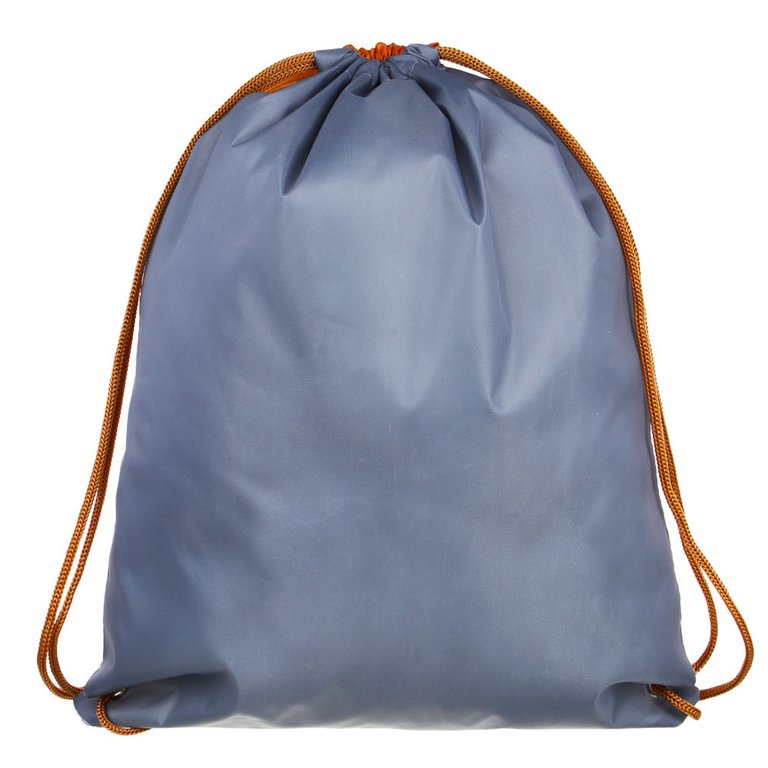 Сумка для обуви для девочки 41,5*34,8 см "ФОКСИ"