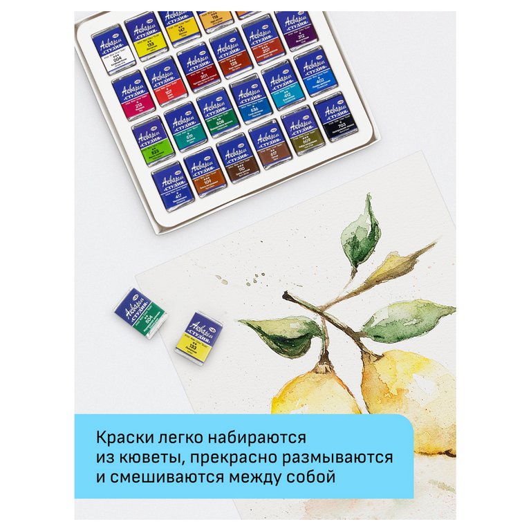 Краски акварельные художественные 24 цв. ГАММА "Студия" в кюветах по 2,5 мл