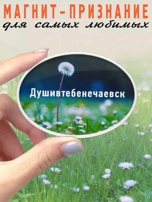 Магнит "Душивтебенечаевск" Бюро находок