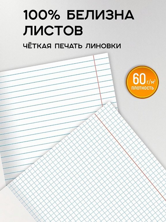 Тетради в наборе 48 лист (12шт/уп предм.тетр) А5 на скрепке, со справ. мат-ом "На уроке"