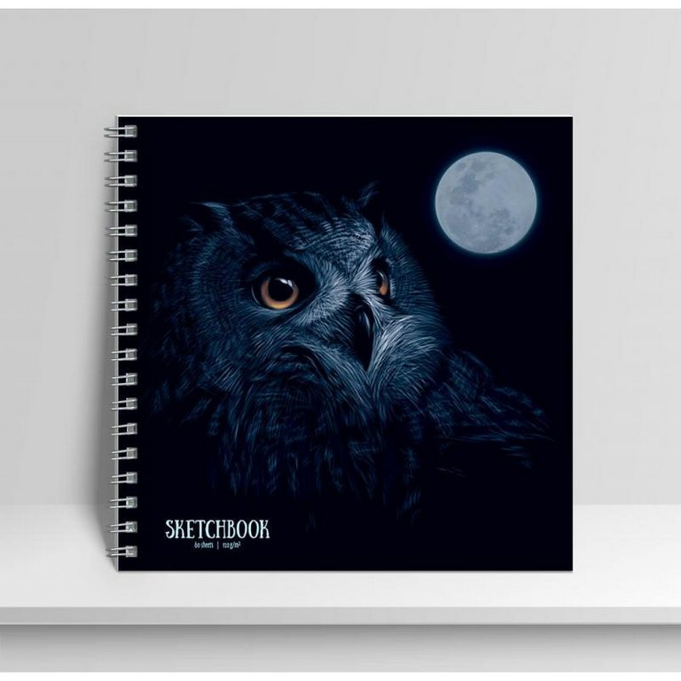 Скетчбук 192*192 мм, 60л. на спирали, тв. обл. "Ночной филин" 120г/м