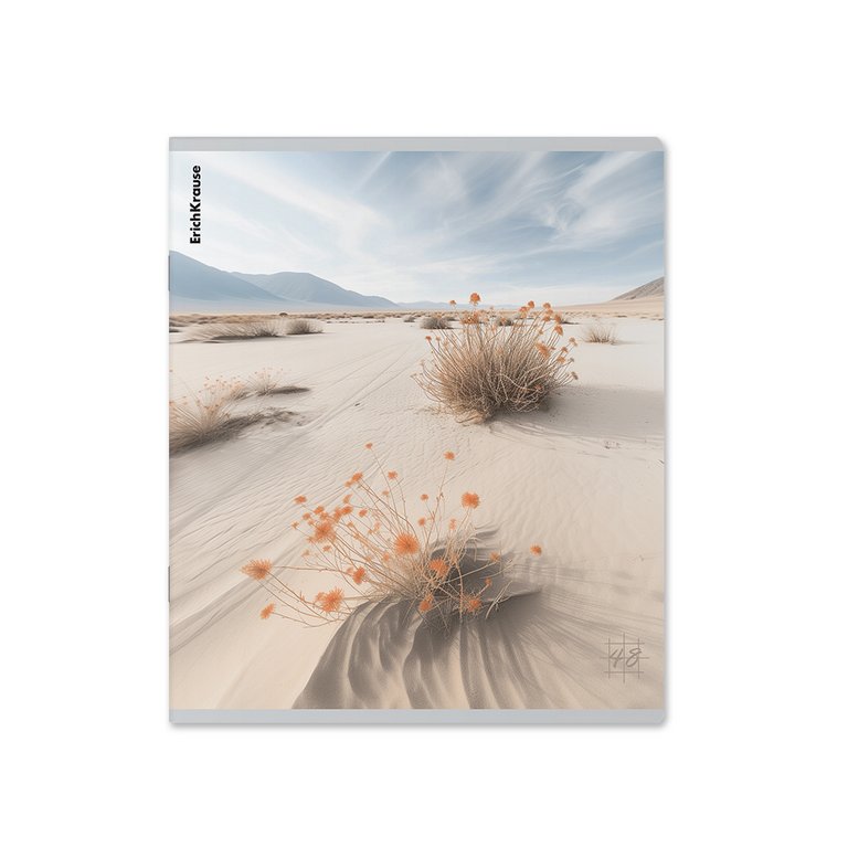 Тетрадь 48 лист кл. А5+ на скрепке "Pasifico" ErichKrause, 5 видов