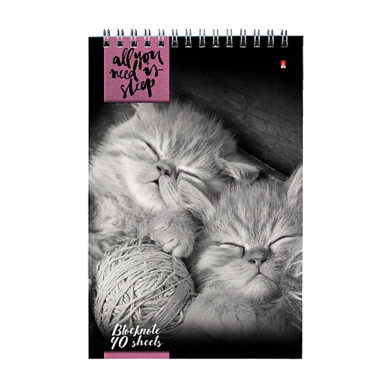 Блокнот А5  40л., 127*202 мм, на гребне Альт "КОШКИ" 5 видов