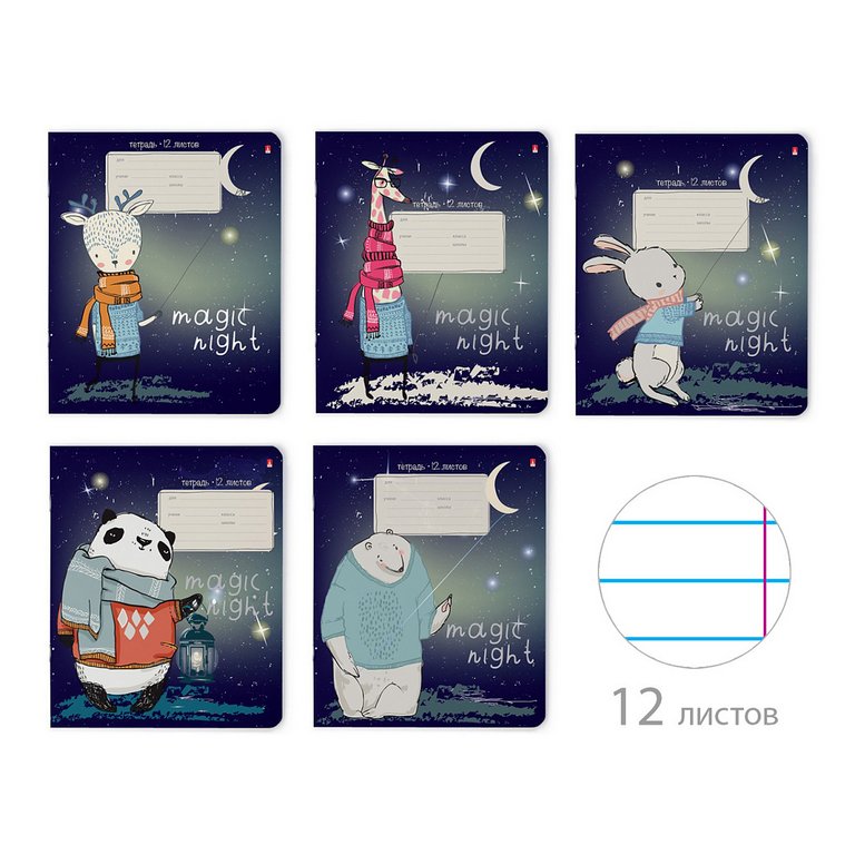 Тетрадь 12 лист лин. А5 "MAGIC NIGHT" 5 видов