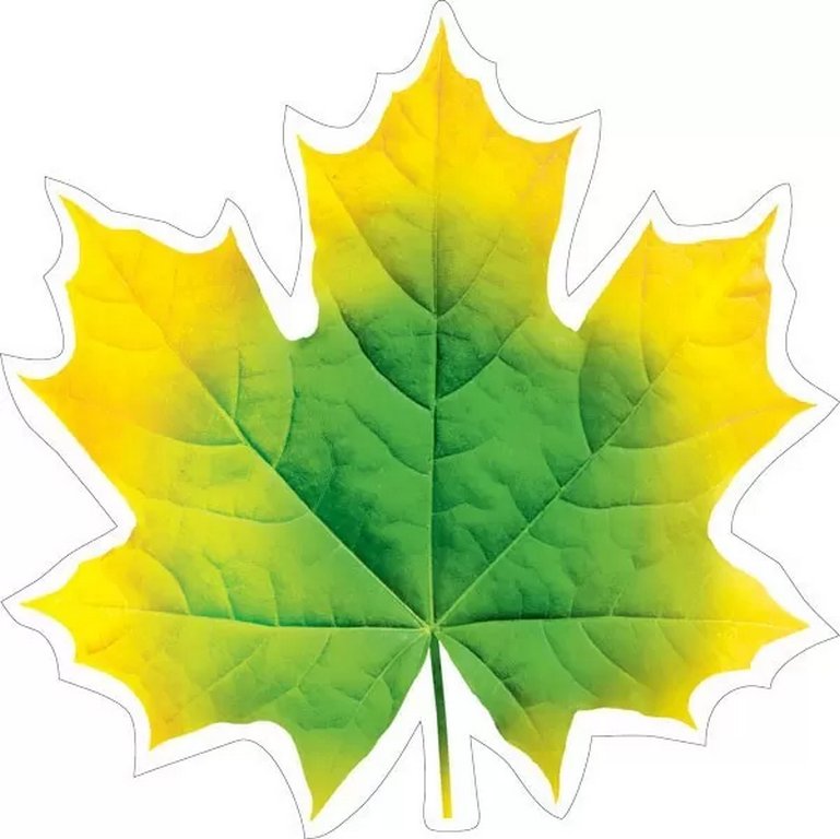 Наклейка оформительская на скотче осенняя 150*150мм "Кленовый лист" желто-зеленый