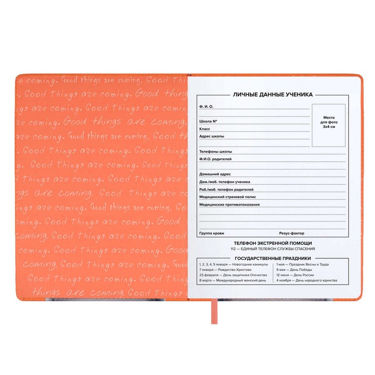 Дневник школьный твердая обложка с поролоном, кожзам, шнуровка декор. в люверсах, ляссе "КОТ" 48л.