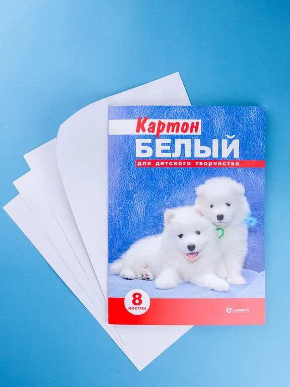 Набор белого картона А4  8л "Белый", 200 гр./м2