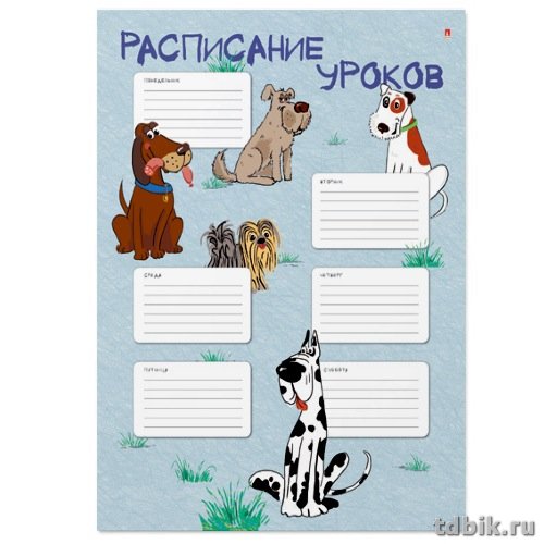 Расписание уроков А4 (4 вида) Альт