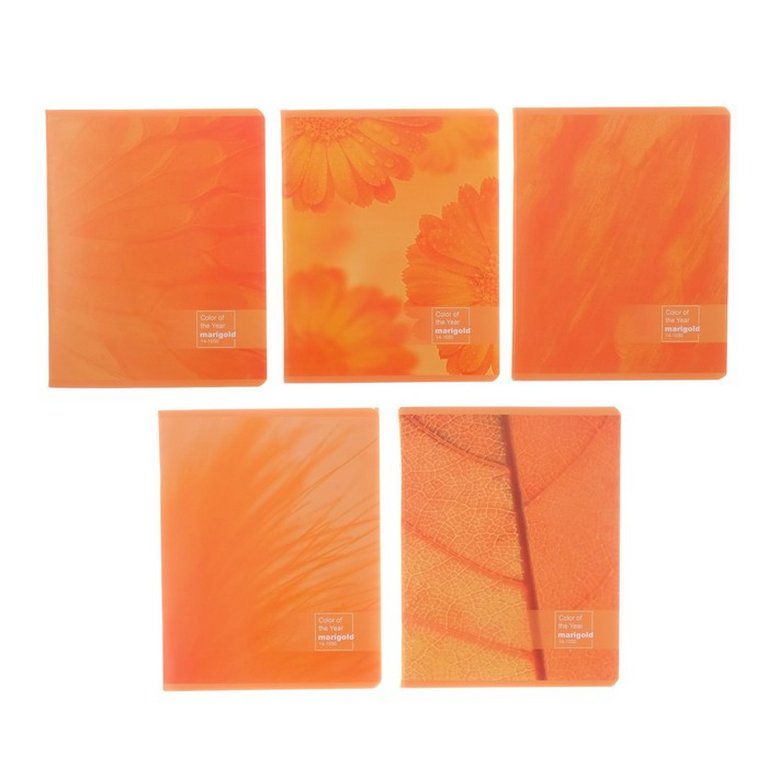 Тетрадь 96 лист лин. А5 на скрепке "Календула"