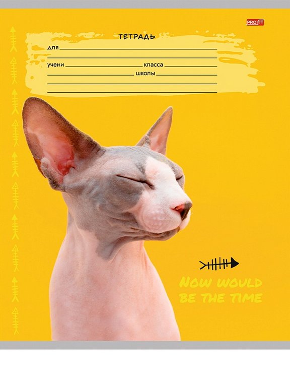 Тетрадь 18 лист кл. А5 "КРЕАТИВНЫЕ КОТЫ" ассорти Profit