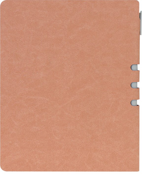 Дневник школьный Prof-Press твердая обл, кожзам, шар.ручка в комп "ГЕОМЕТРИЯ ИЛЛЮЗИЙ.Персиковый" 48л