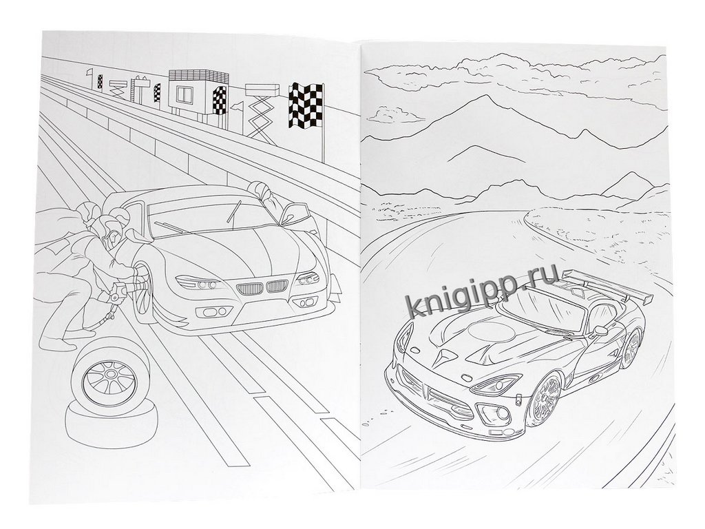 Раскраска А4 "Крутые гонки" 16 стр ПРОФ-пресс