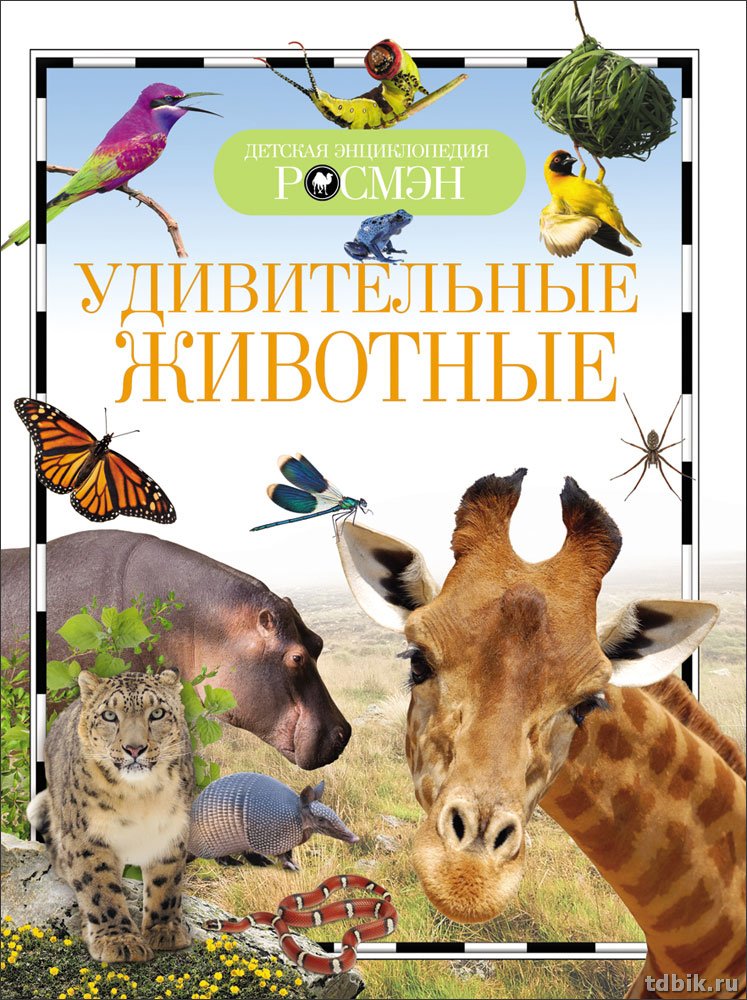 Энциклопедия 10+ "Удивительные животные" 222 х 165мм, 96стр Росмэн