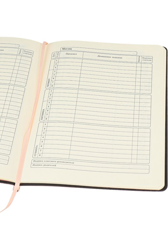 Дневник школьный Prof-Press твердая обл, кожзам, шар.ручка в комп "ГЕОМЕТРИЯ ИЛЛЮЗИЙ.Персиковый" 48л