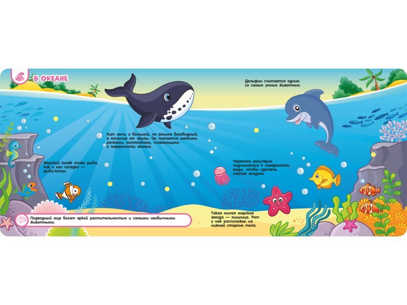 Книга с липучками "Дикие животные" Росмэн