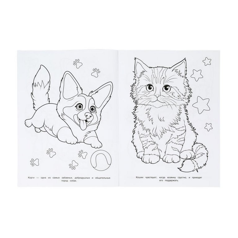 Раскраска А4 "Забавные питомцы" 16 стр. Умка
