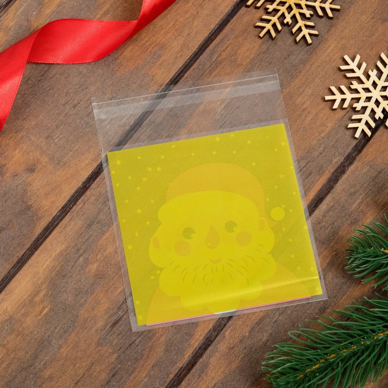 Пакет с липкой лентой "Портрет" 10*11см