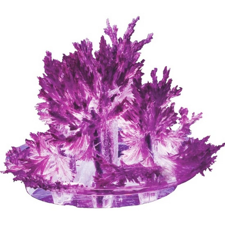 Игра научная 10+ Выращиваем кристаллы Фиолетовый Lori