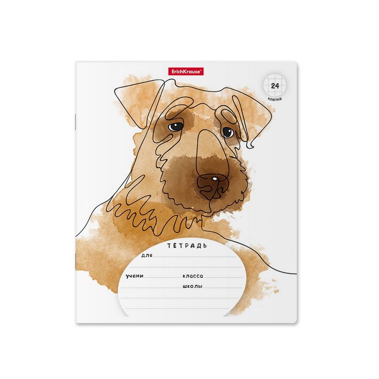 Тетрадь 24 лист кл. А5  "Дружок" 5 видов