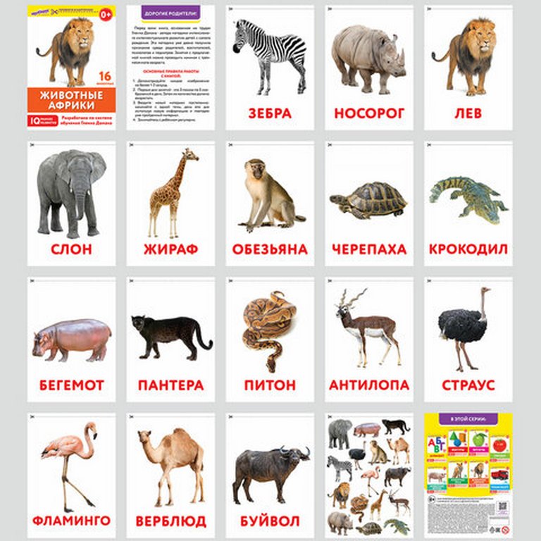 Дидактические карточки по методике Гленна Домана 145 шт. (8 тематик) Юнландия