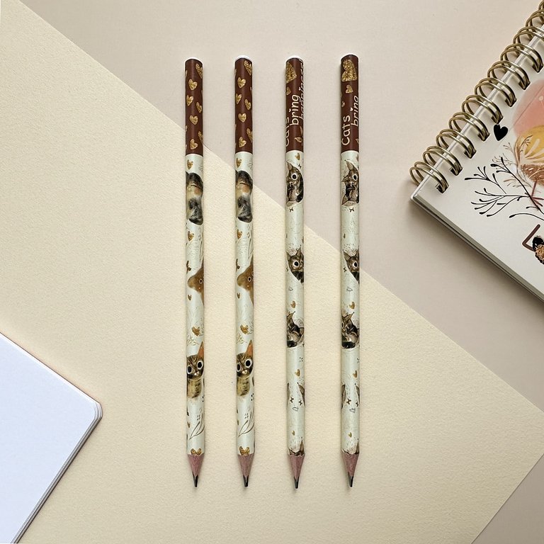 Карандаш ч/г HB с рис. трехгранный Bruno Visconti Love me "Котики. Счастье"