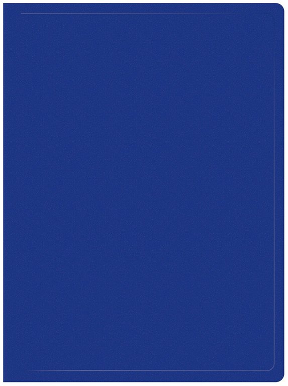 Папка А4 10 прозр.вклад. пластик 0,50 мм. Buro синяя