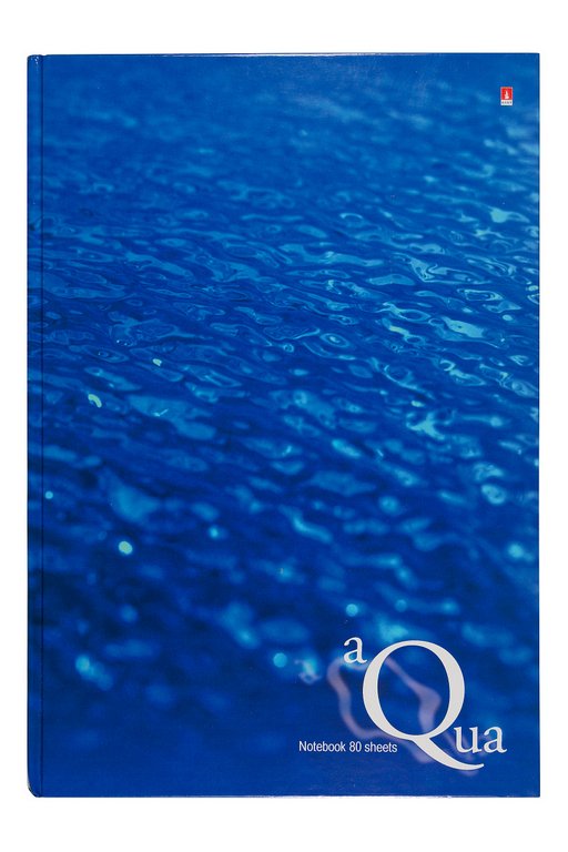 Бизнес-блокнот А4  80л., 200*252 мм, Альт "ВОДА"