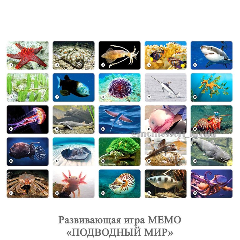 Игра настольная  Мемо "Подводный мир" Нескучные игры