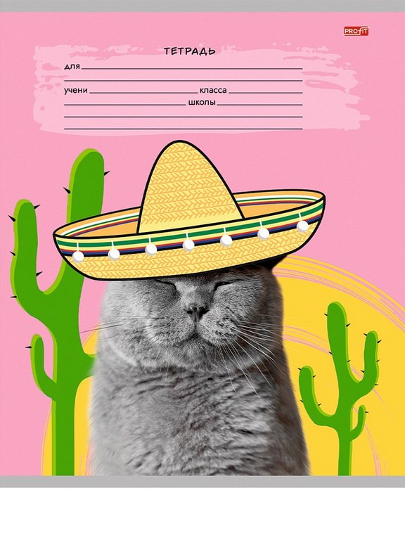 Тетрадь 18 лист кл. А5 "КРЕАТИВНЫЕ КОТЫ" ассорти Profit