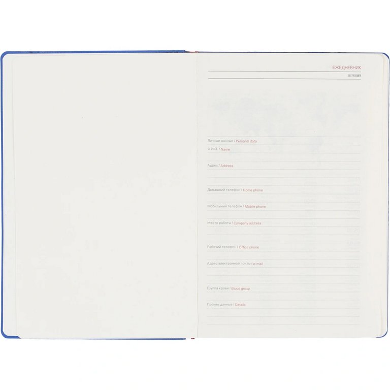 Ежедневник без дат 148*210 мм Bruno Visconti MARSEILLE, синий