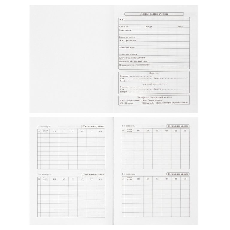 Дневник школьный Prof-Press твердая обложка, мат. ламин., выбр. лак "ПРИВЕТ ОТ КОТИКА" 48л.