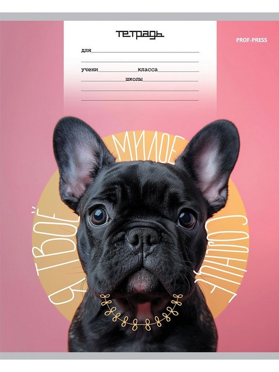 Тетрадь 18 лист лин. А5 "МИКС" ассорти Profit