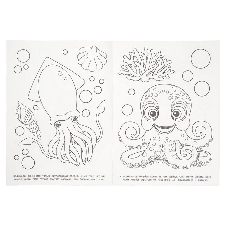 Раскраска А4 "Загадки моря" 16 стр. Умка