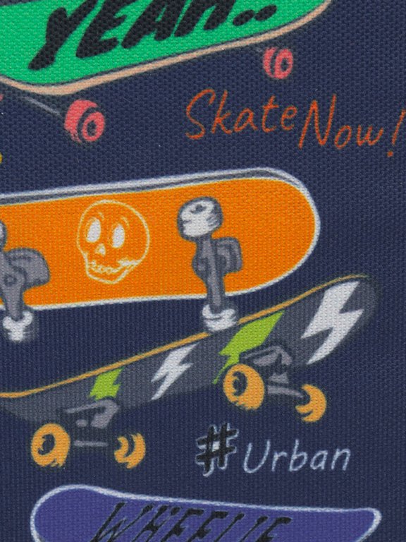 Пенал 1 отд. для мальчика Prof-Press "Яркие скейтборды" 190х115 (ткань)